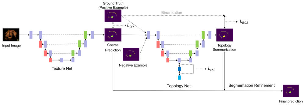 DTU-Net texture and topology network architecture