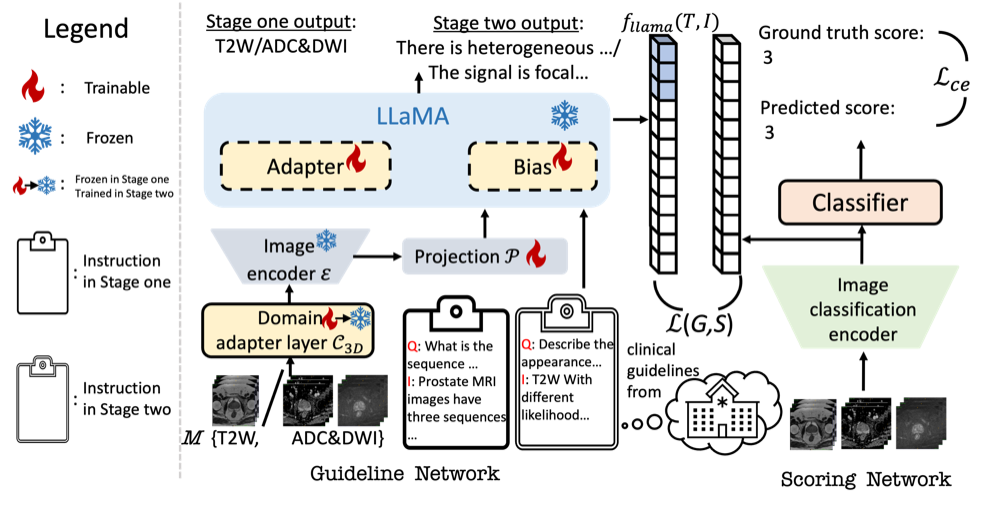 Two-stage multimodal model adaptation for PI-RADS scoring