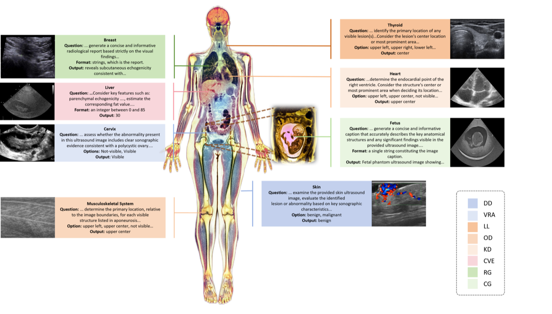 U2-BENCH tasks across diverse anatomical regions